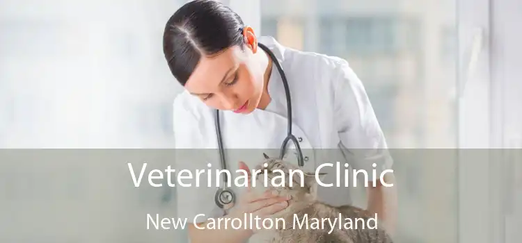 Veterinarian Clinic New Carrollton Maryland
