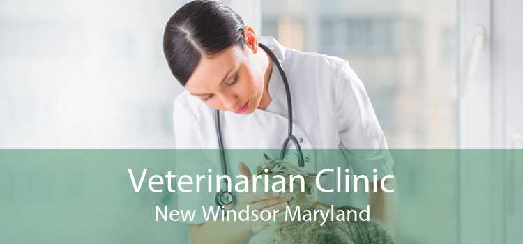 Veterinarian Clinic New Windsor Maryland