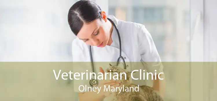 Veterinarian Clinic Olney Maryland