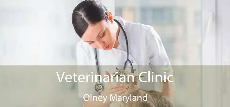 Veterinarian Clinic Olney Maryland