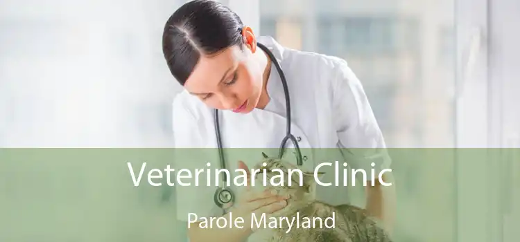 Veterinarian Clinic Parole Maryland