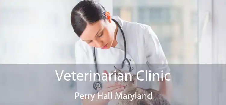 Veterinarian Clinic Perry Hall Maryland