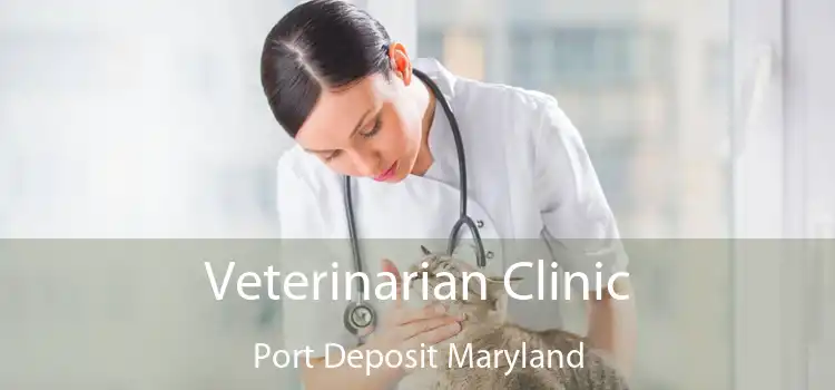 Veterinarian Clinic Port Deposit Maryland