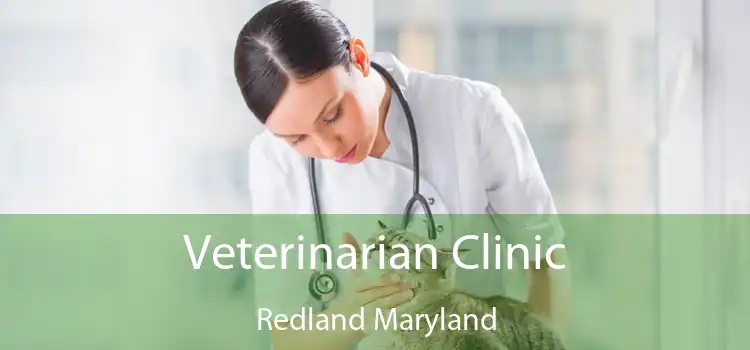 Veterinarian Clinic Redland Maryland
