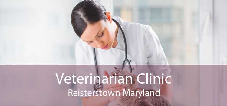 Veterinarian Clinic Reisterstown Maryland