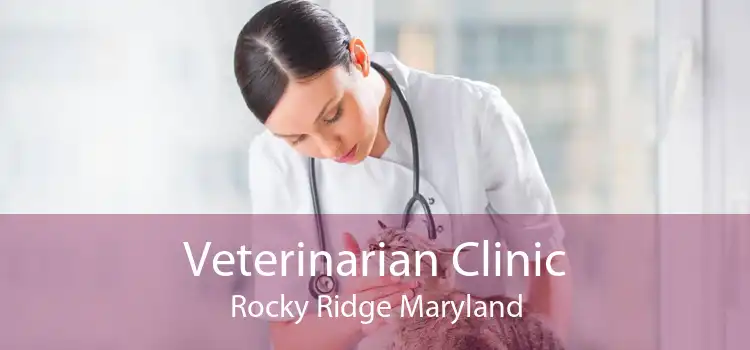 Veterinarian Clinic Rocky Ridge Maryland
