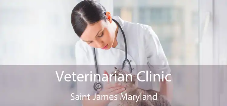 Veterinarian Clinic Saint James Maryland