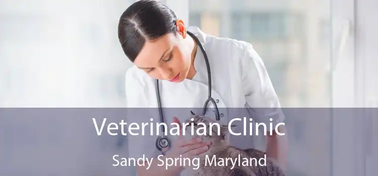 Veterinarian Clinic Sandy Spring Maryland