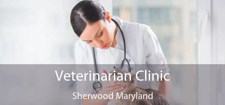 Veterinarian Clinic Sherwood Maryland
