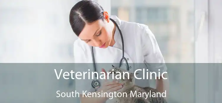 Veterinarian Clinic South Kensington Maryland