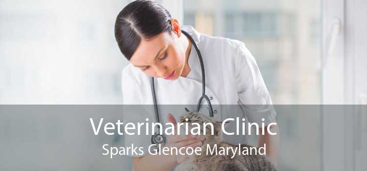 Veterinarian Clinic Sparks Glencoe Maryland