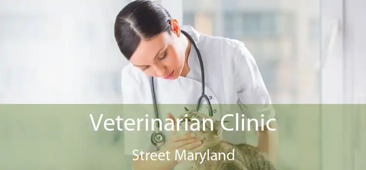 Veterinarian Clinic Street Maryland