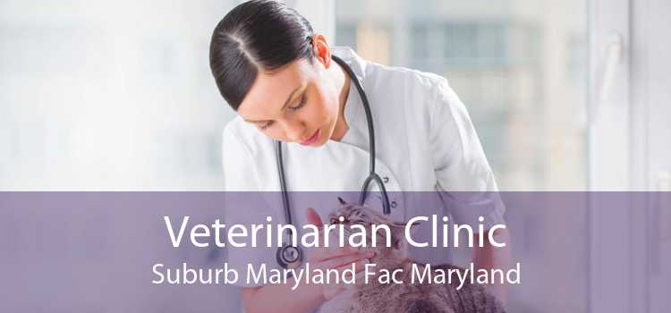 Veterinarian Clinic Suburb Maryland Fac Maryland