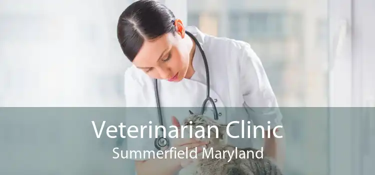 Veterinarian Clinic Summerfield Maryland
