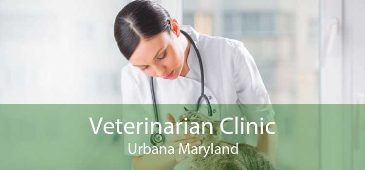 Veterinarian Clinic Urbana Maryland