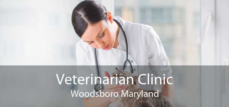 Veterinarian Clinic Woodsboro Maryland
